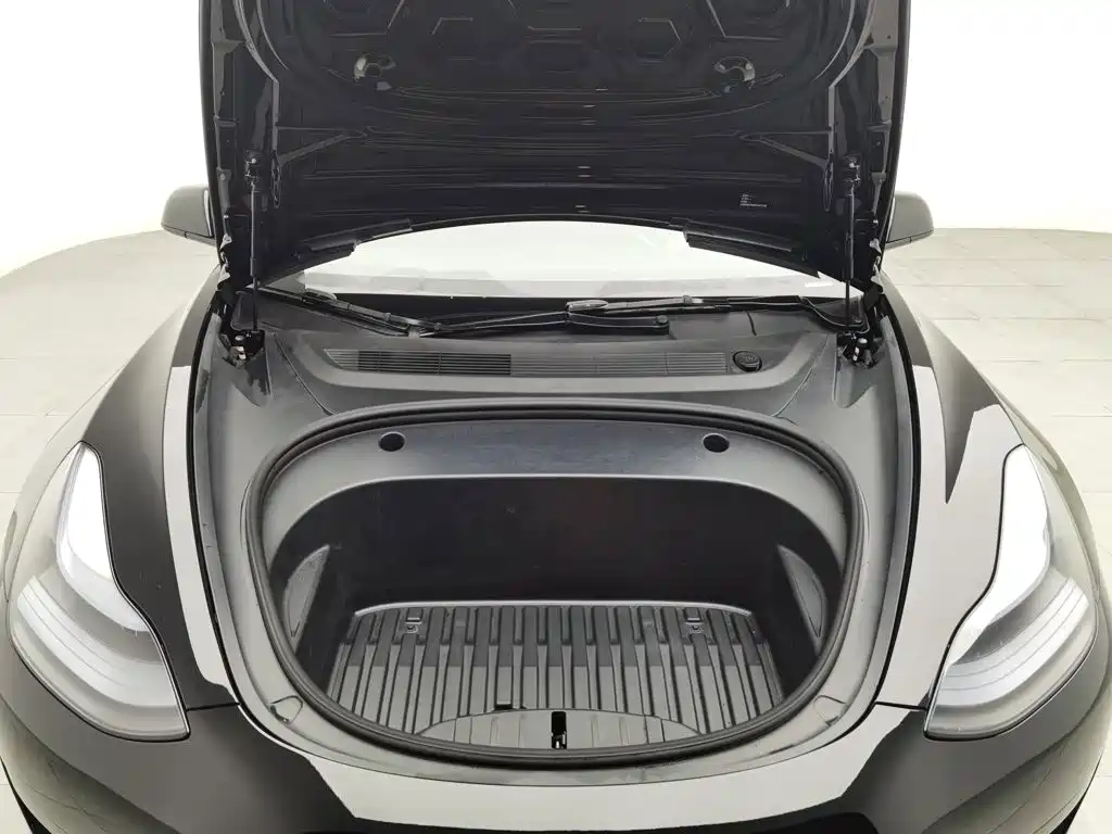 Tesla Model 3 — миниатюра 6