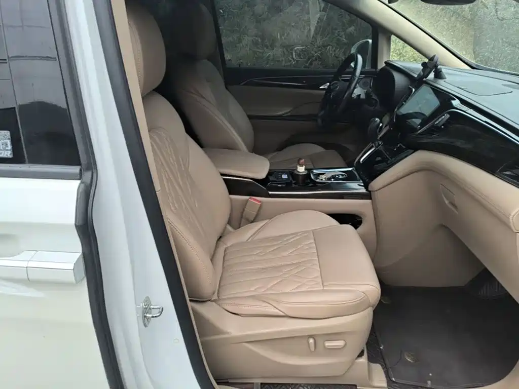 Buick GL8 — миниатюра 20