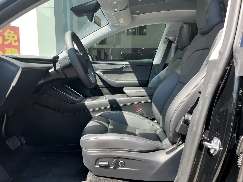 Tesla Model Y — миниатюра 4
