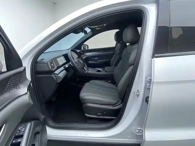 BYD Pro New Energy — миниатюра 13