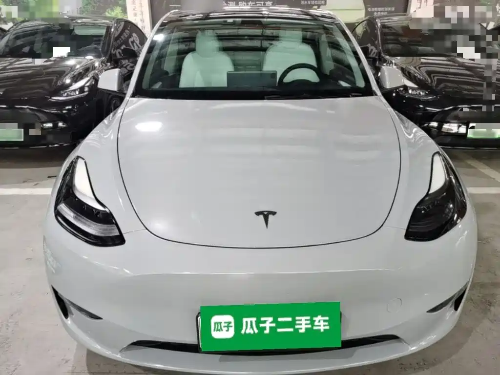 Tesla Model Y — миниатюра 3