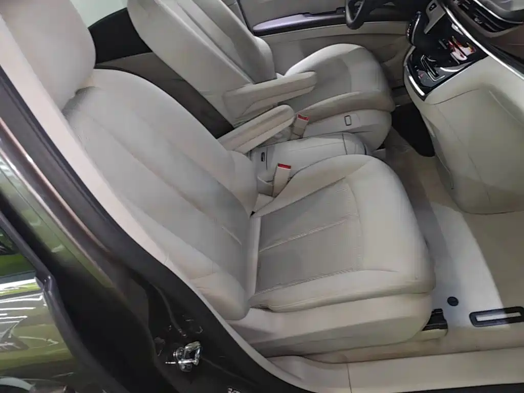 Buick GL8 — миниатюра 25
