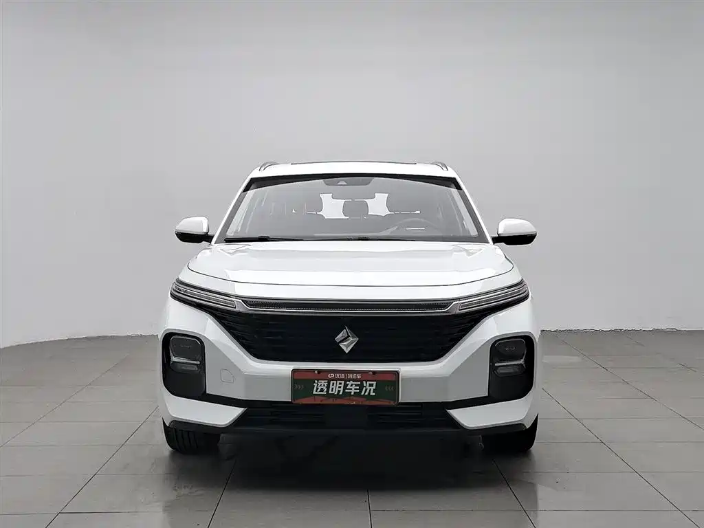 BAOJUN VALLI