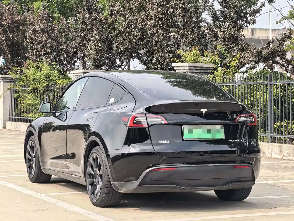Tesla Model Y — миниатюра 6