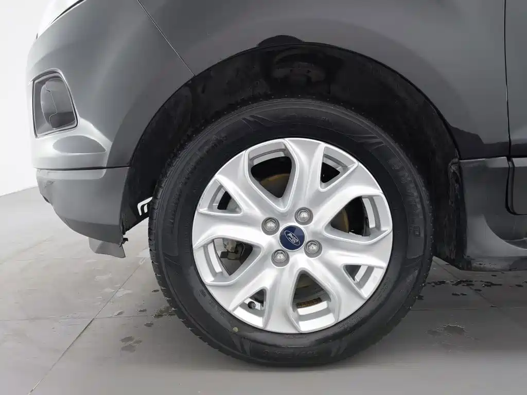 Ford Ecosport — миниатюра 17