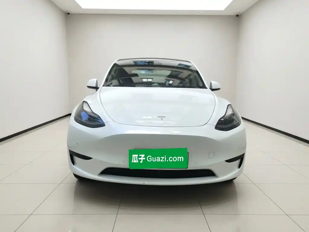 Tesla Model Y — миниатюра 2