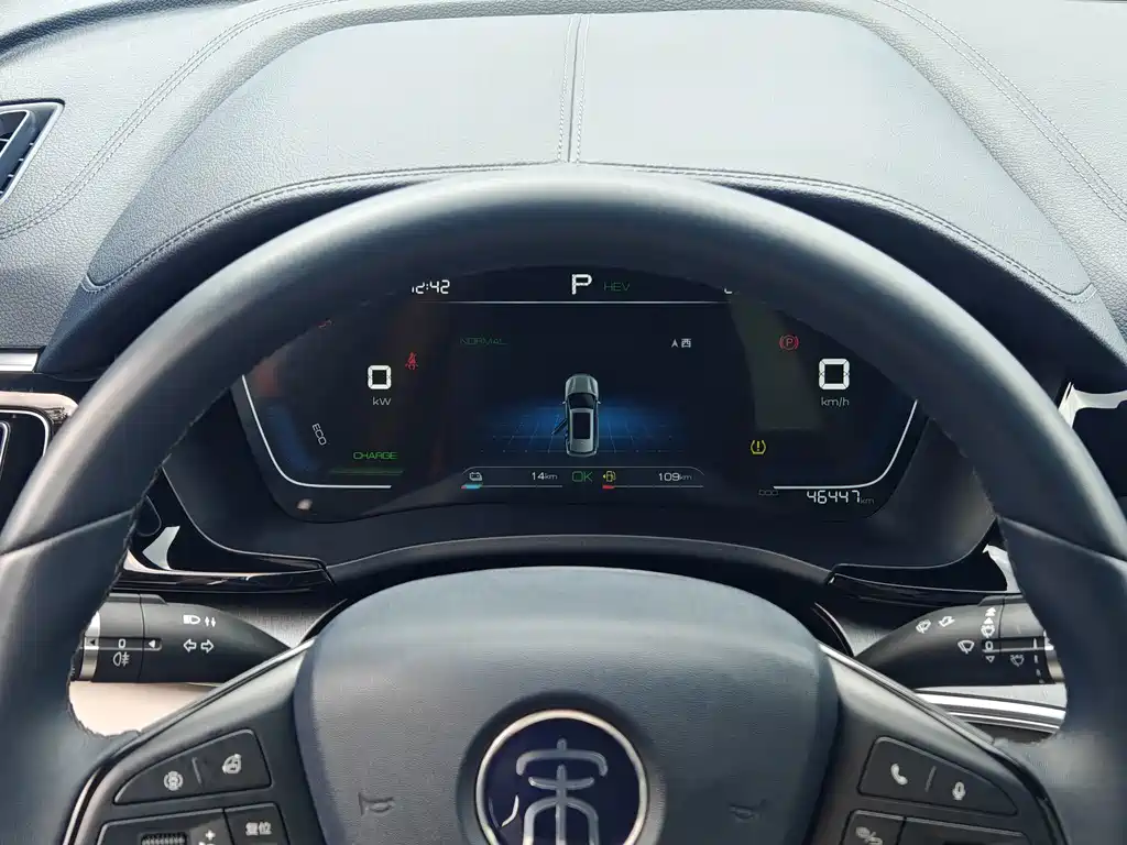 BYD PLUS New Energy — миниатюра 19
