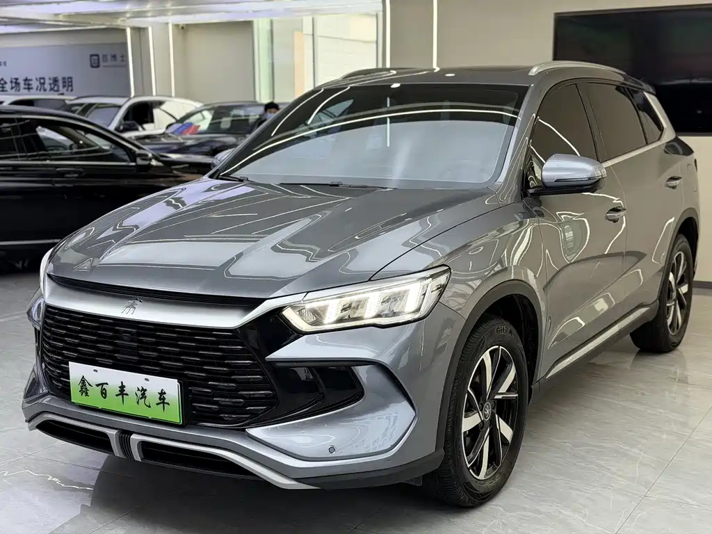 BYD Pro New Energy