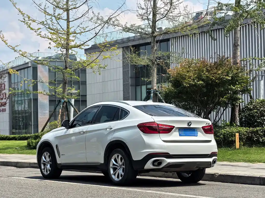 BMW X6 — миниатюра 4