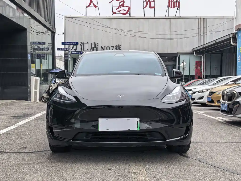Tesla Model Y — миниатюра 2