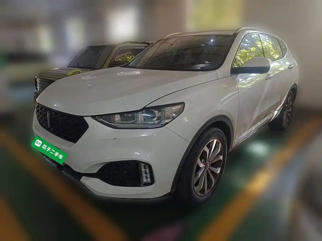 Wey Wey VV6