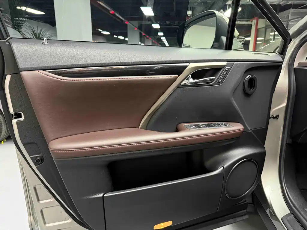Lexus RX 2020 300 Elegant VI