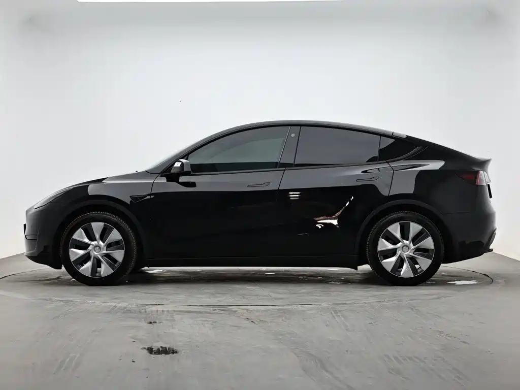 Tesla Model Y — миниатюра 6