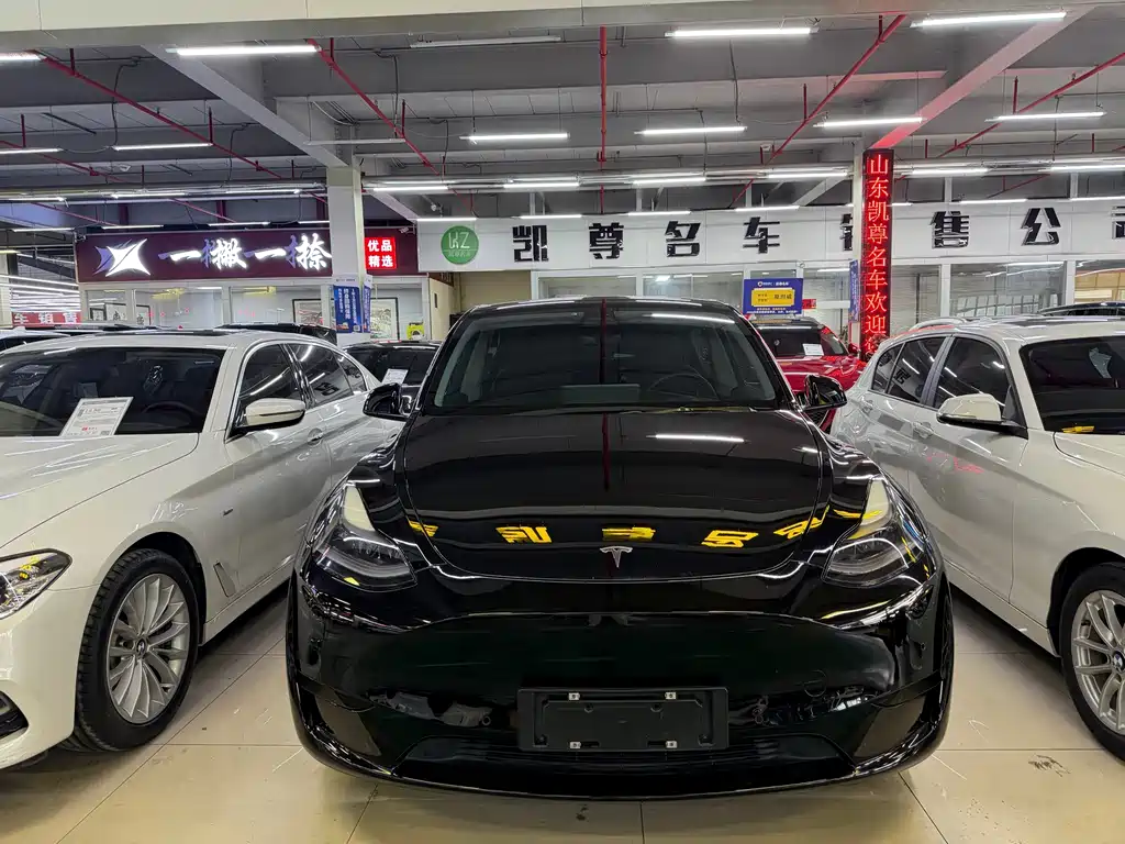 Tesla Model Y — миниатюра 2