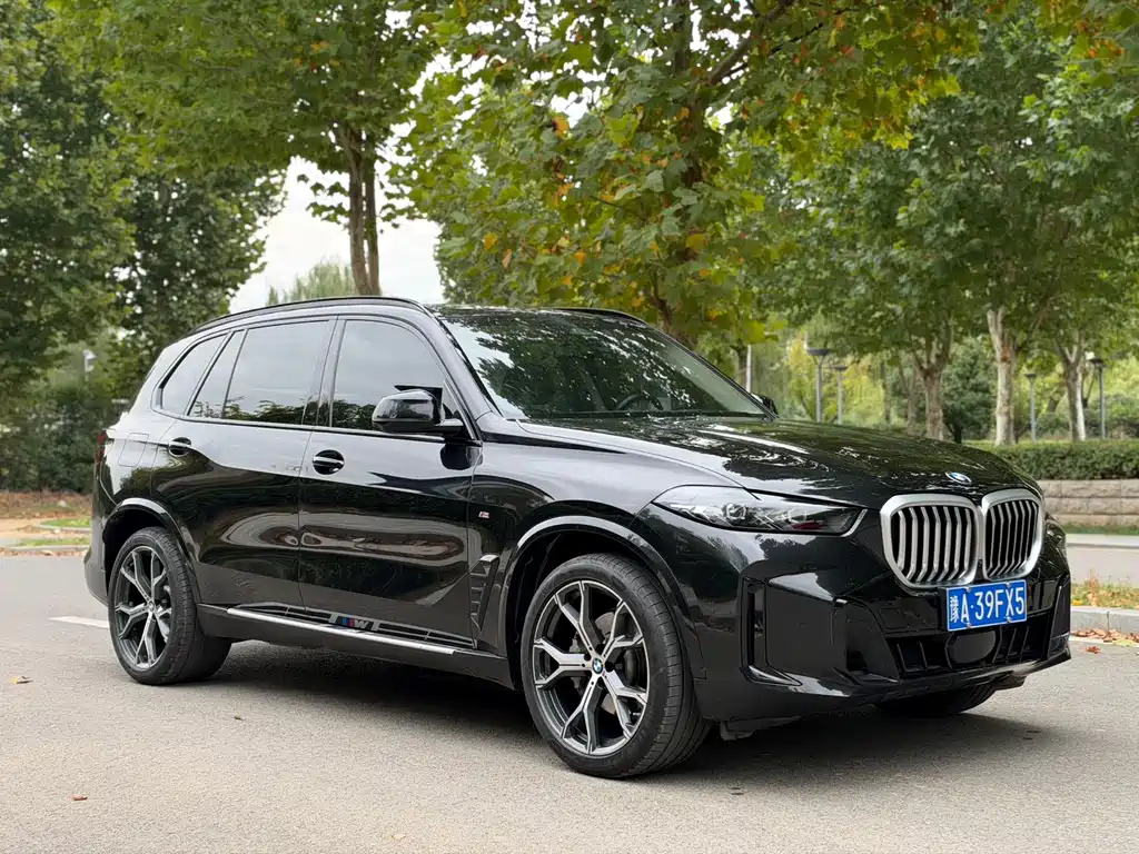 BMW X5 — миниатюра 3