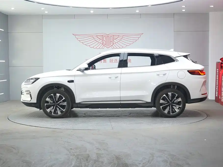 BYD SONGJIANG NEW ENERGY