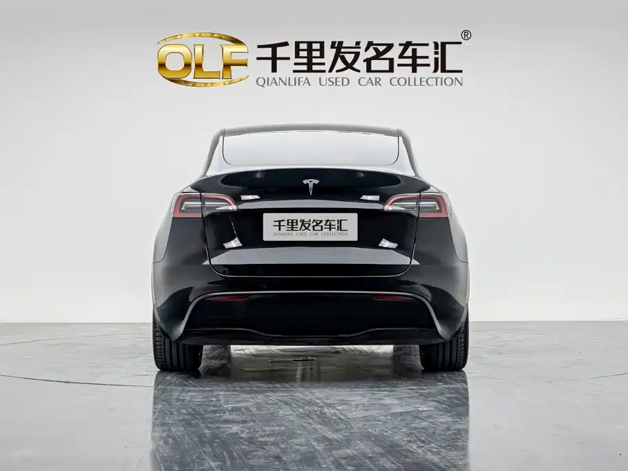 Tesla Model Y — миниатюра 6