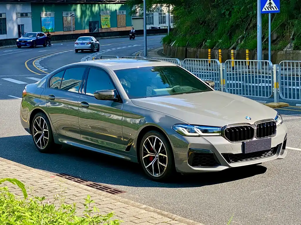 BMW 5 Series (Import) — миниатюра 3