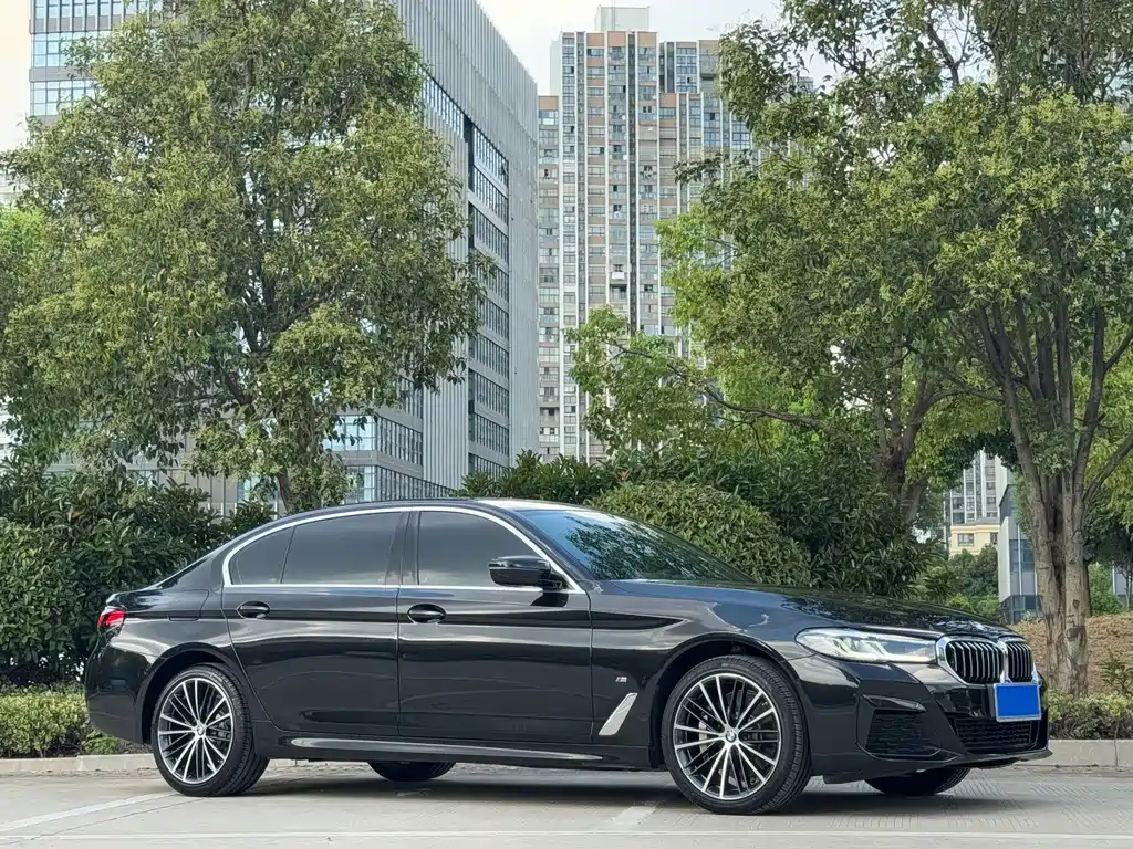 BMW 5 Series — миниатюра 14