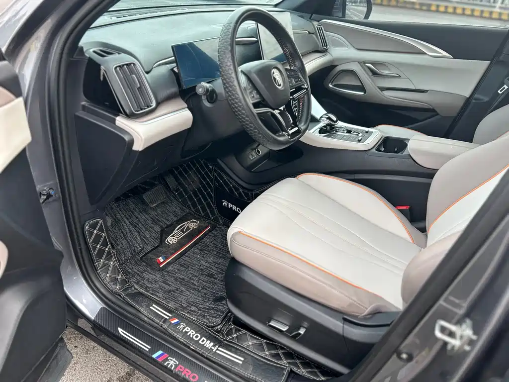 BYD SONGJIANG NEW ENERGY