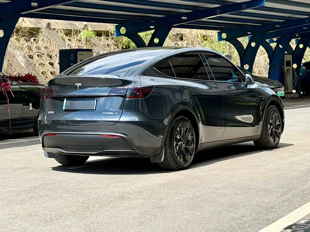 Tesla Model Y — миниатюра 4