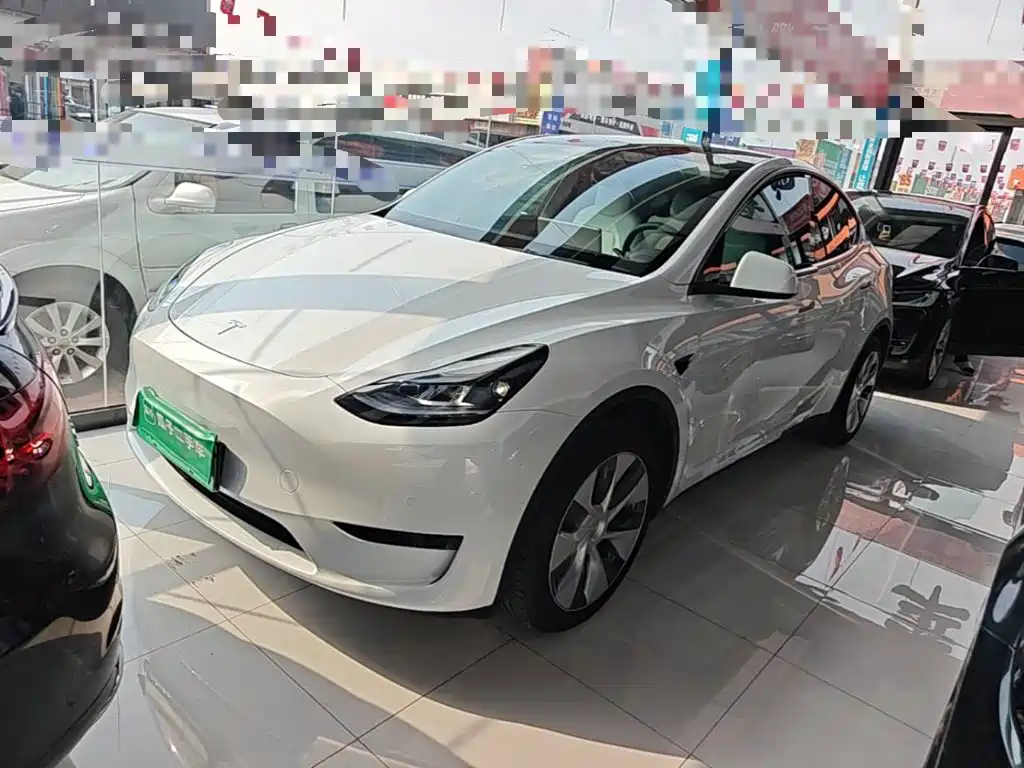 Tesla Model Y — миниатюра 2
