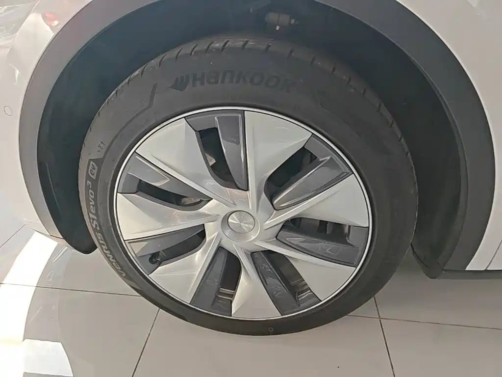 Tesla Model Y — миниатюра 23