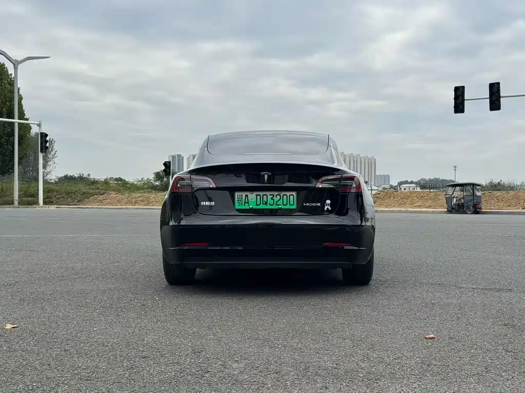 Tesla Model 3 — миниатюра 8