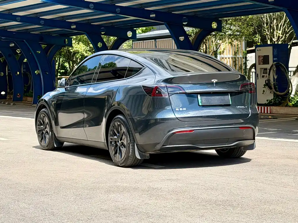 Tesla Model Y — миниатюра 6