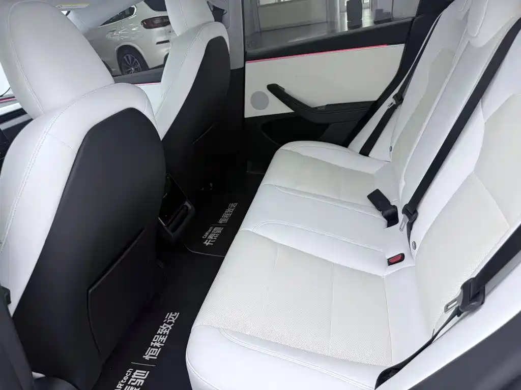 Tesla Model 3 — миниатюра 19