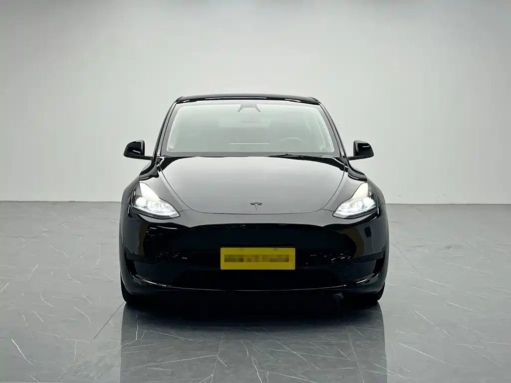 Tesla Model Y — миниатюра 2
