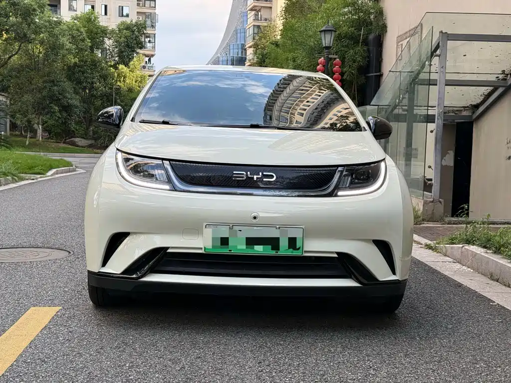 BYD Dolphin — миниатюра 2