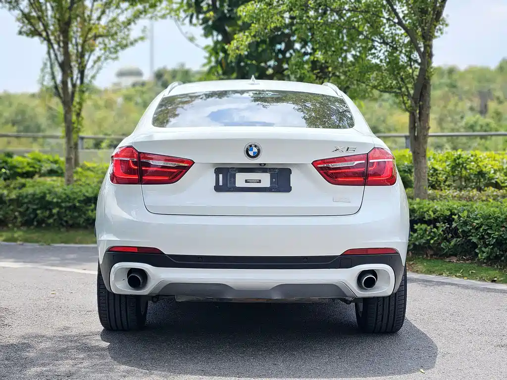 BMW X6 — миниатюра 7