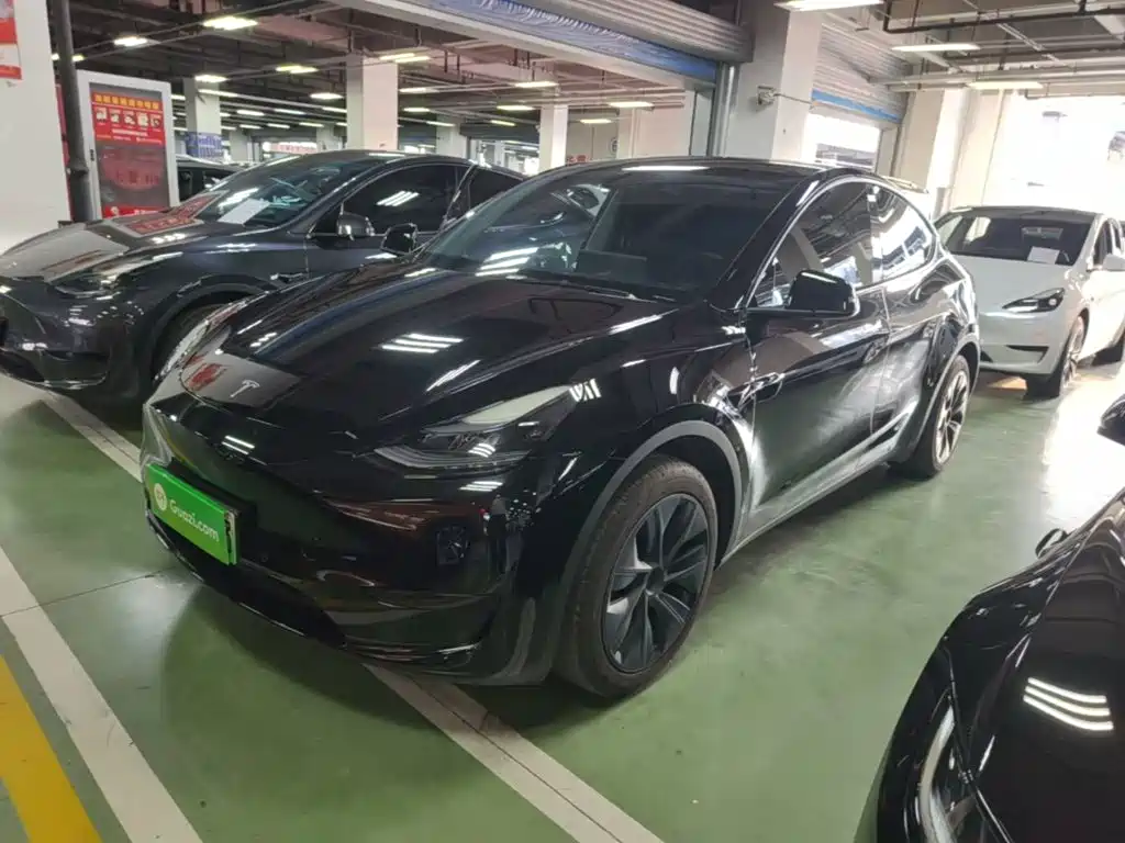 Tesla Model Y — миниатюра 2