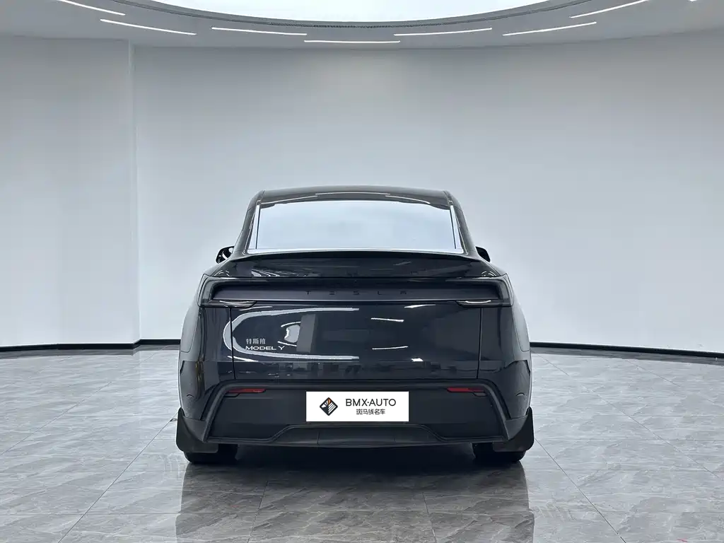 Tesla Model Y — миниатюра 6