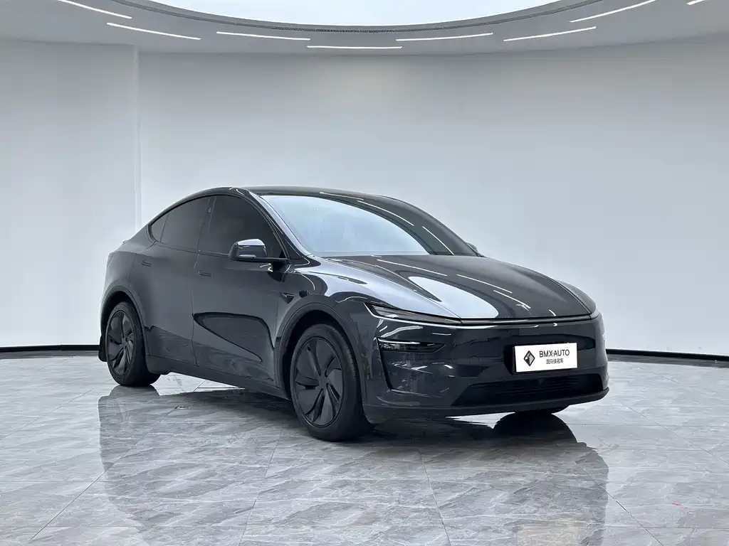 Tesla Model Y — миниатюра 2