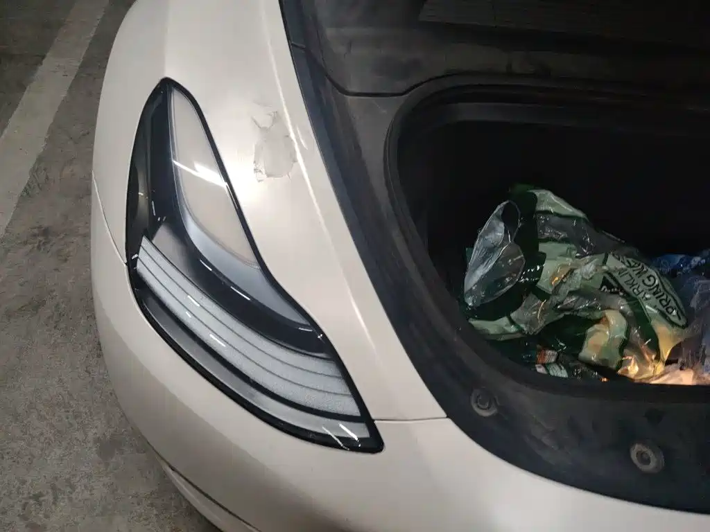 Tesla Model Y — миниатюра 22