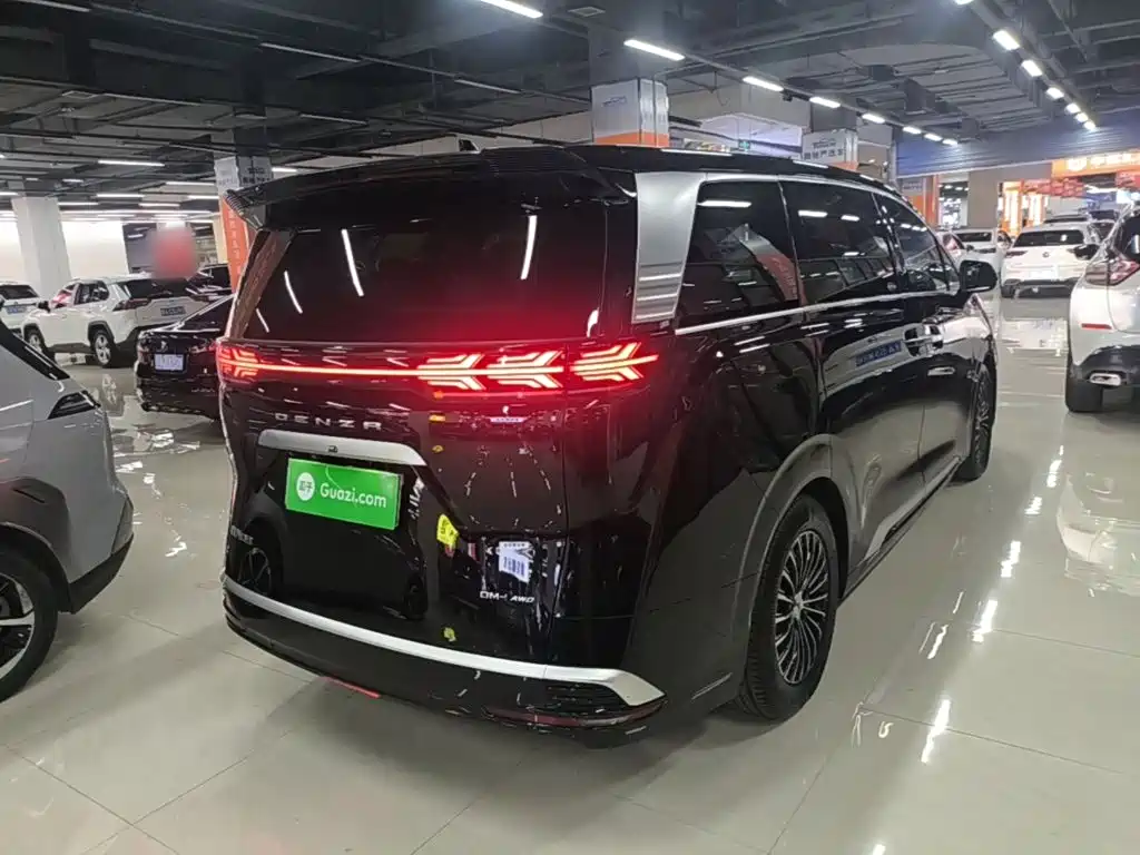 Denza Denza D9 — миниатюра 7