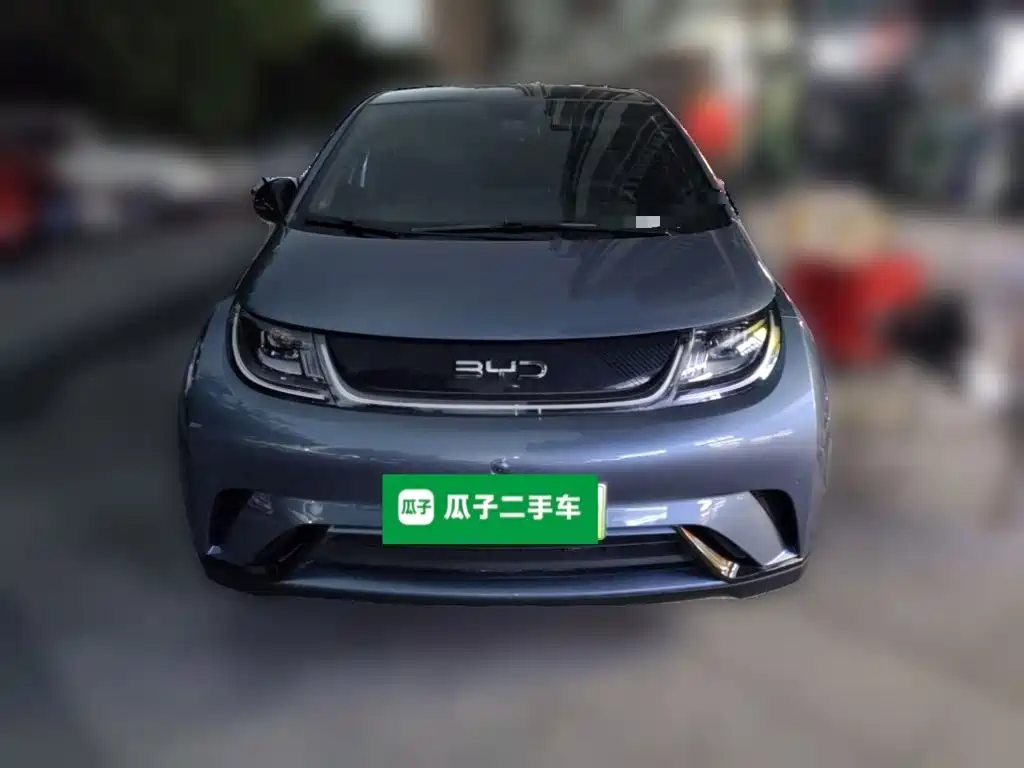 BYD Dolphin — миниатюра 2