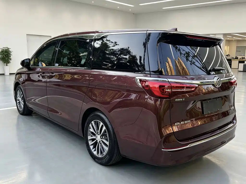 Buick GL8 — миниатюра 5