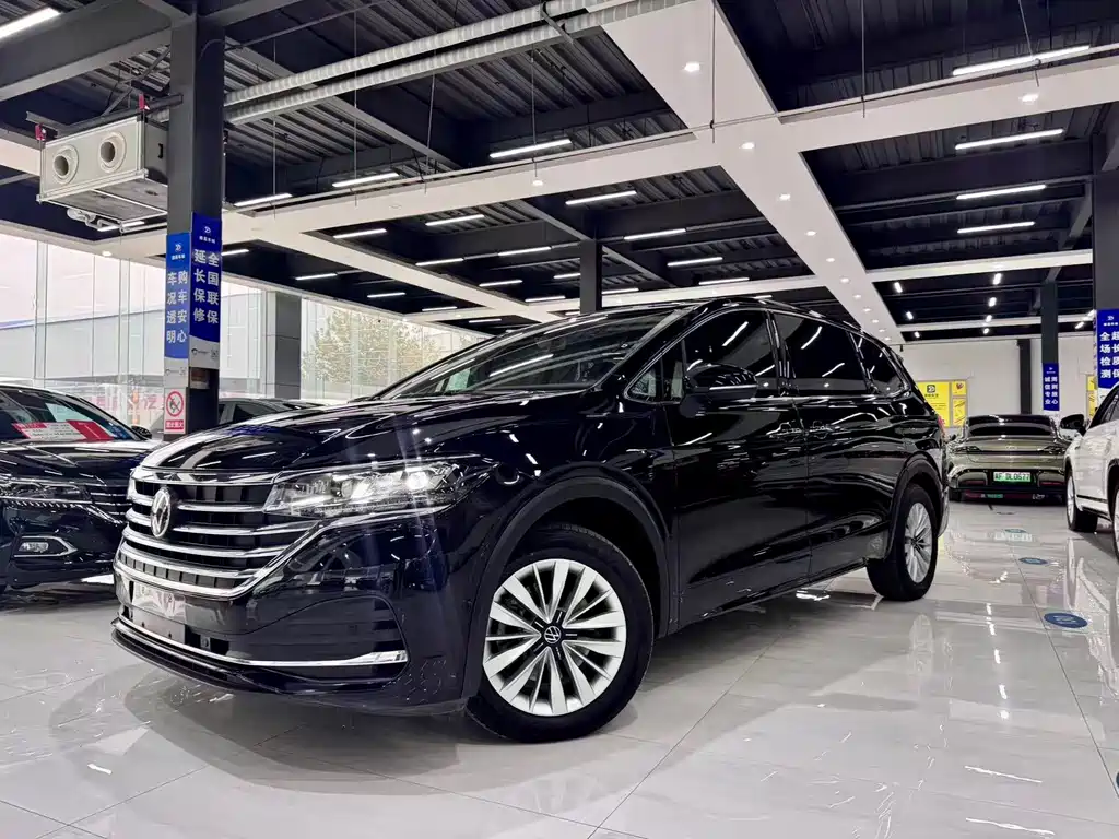 Volkswagen Viloran — миниатюра 3