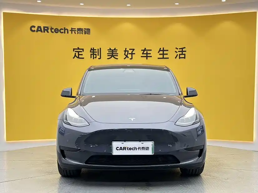 Tesla Model Y — миниатюра 3