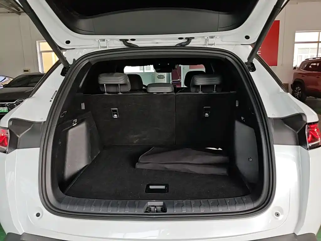 BYD L DM-i — миниатюра 19