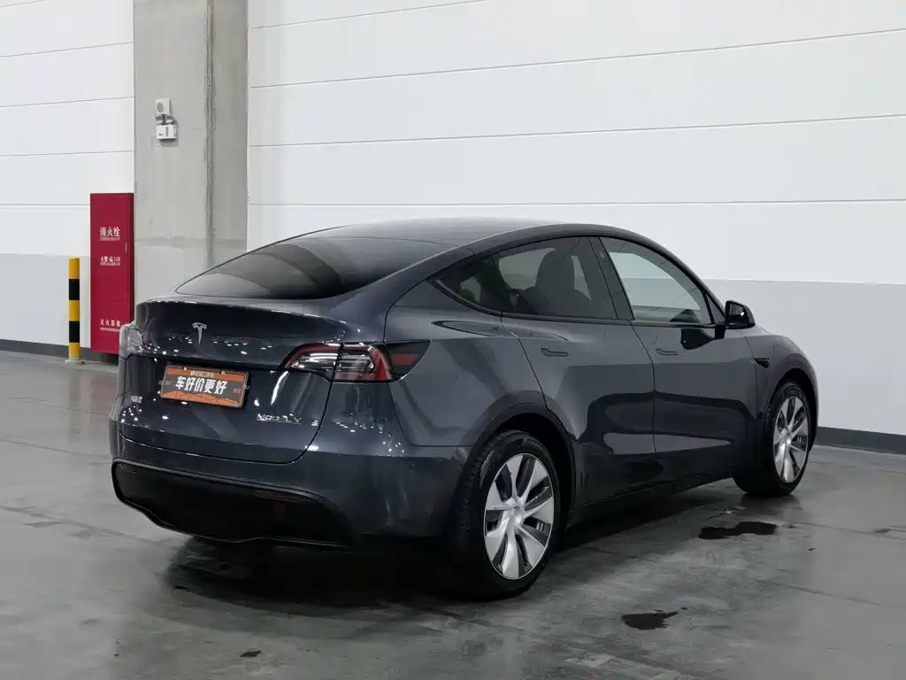 Tesla Model Y — миниатюра 2