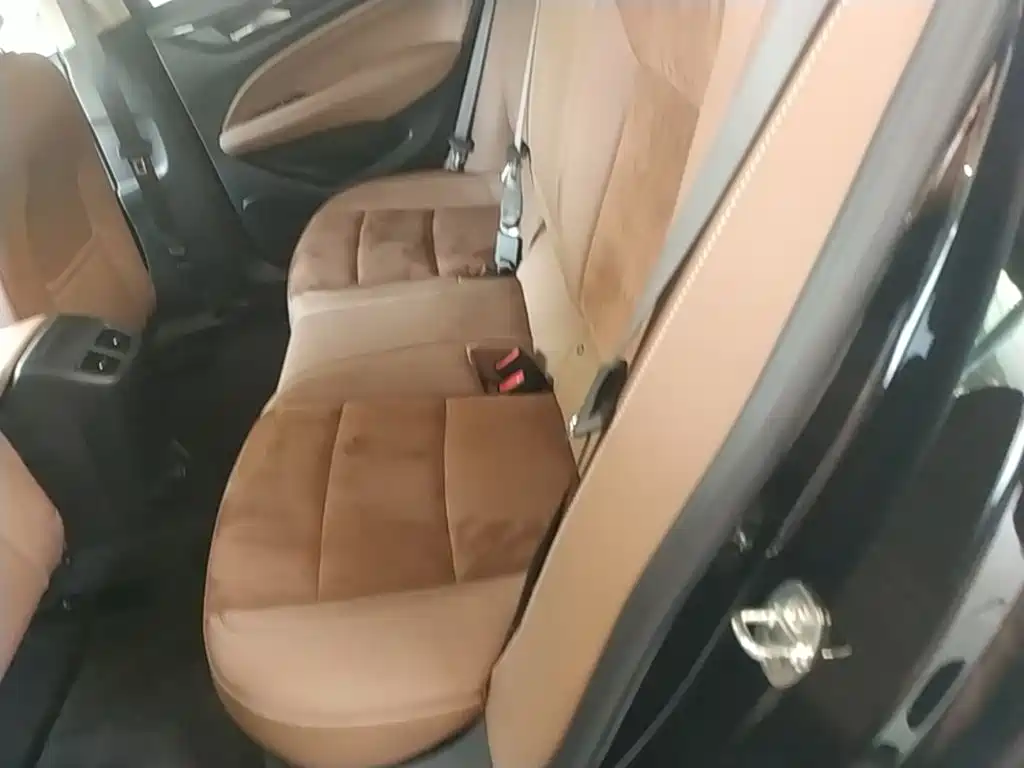 Buick Regal — миниатюра 17