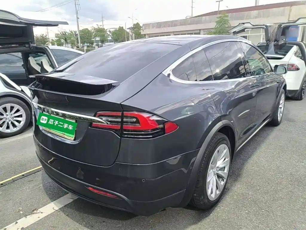 Tesla Model X — миниатюра 7