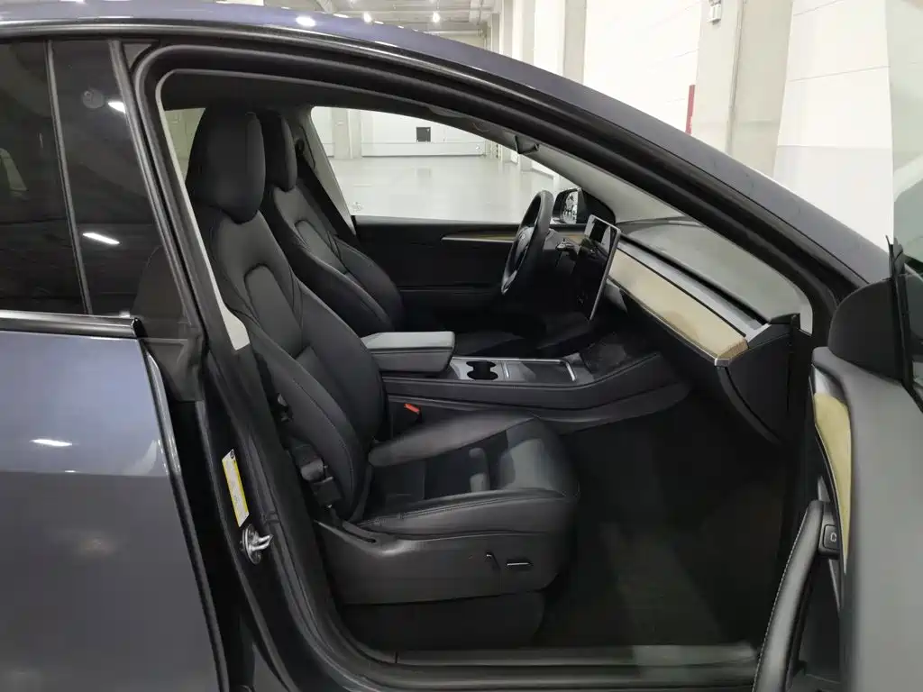 Tesla Model Y — миниатюра 23