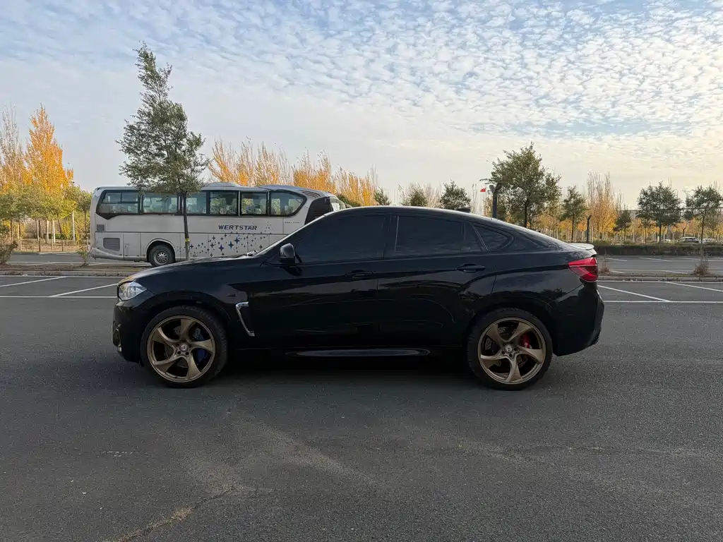 BMW X6 M — миниатюра 8