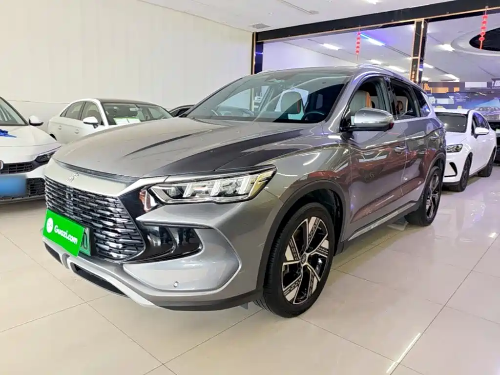 BYD Pro New Energy