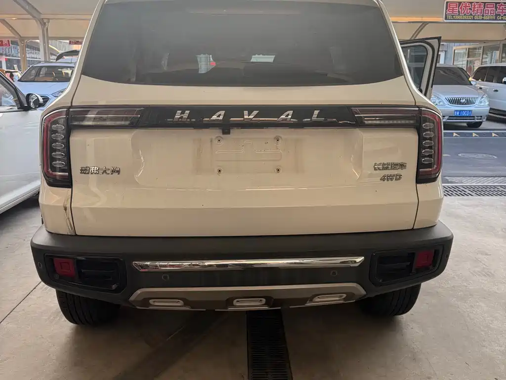 Haval Big Dog — миниатюра 8